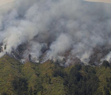 kebakaran-hutan-dan-lahan-gunung-bromo