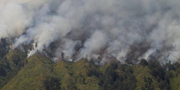 kebakaran-hutan-dan-lahan-gunung-bromo