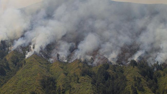 kebakaran-hutan-dan-lahan-gunung-bromo